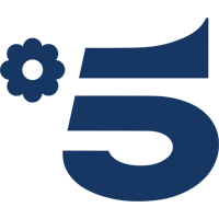 Логотип канала Canale 5