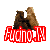 Логотип канала Fucino TV