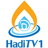 Логотип канала Hadi TV 1