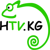 Логотип канала Хамелeон ТВ
