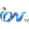 Channel logo iON TV