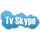 Логотип канала TV Skype