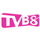 Логотип канала TVB8