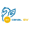 TVVI (Canal GV)