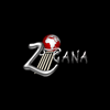 Логотип канала Zigana TV