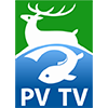 Логотип канала PV TV