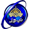 Логотип канала PTV News