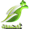 Логотип канала Zhwandoon TV