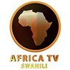 Africa TV 2