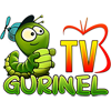 Gurinel TV