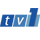 Логотип канала RTM 1