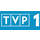 Логотип канала TVP 1
