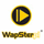 Логотип канала Wapster TV