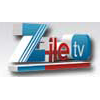 Логотип канала Zile TV