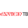 Логотип канала Радонеж ТВ