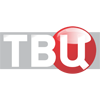 Логотип канала ТВ Центр