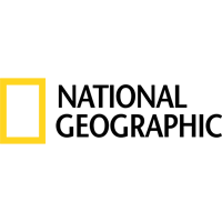 Логотип канала National Geographic