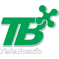 Channel logo TeleBoario