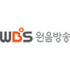 Логотип канала WBS